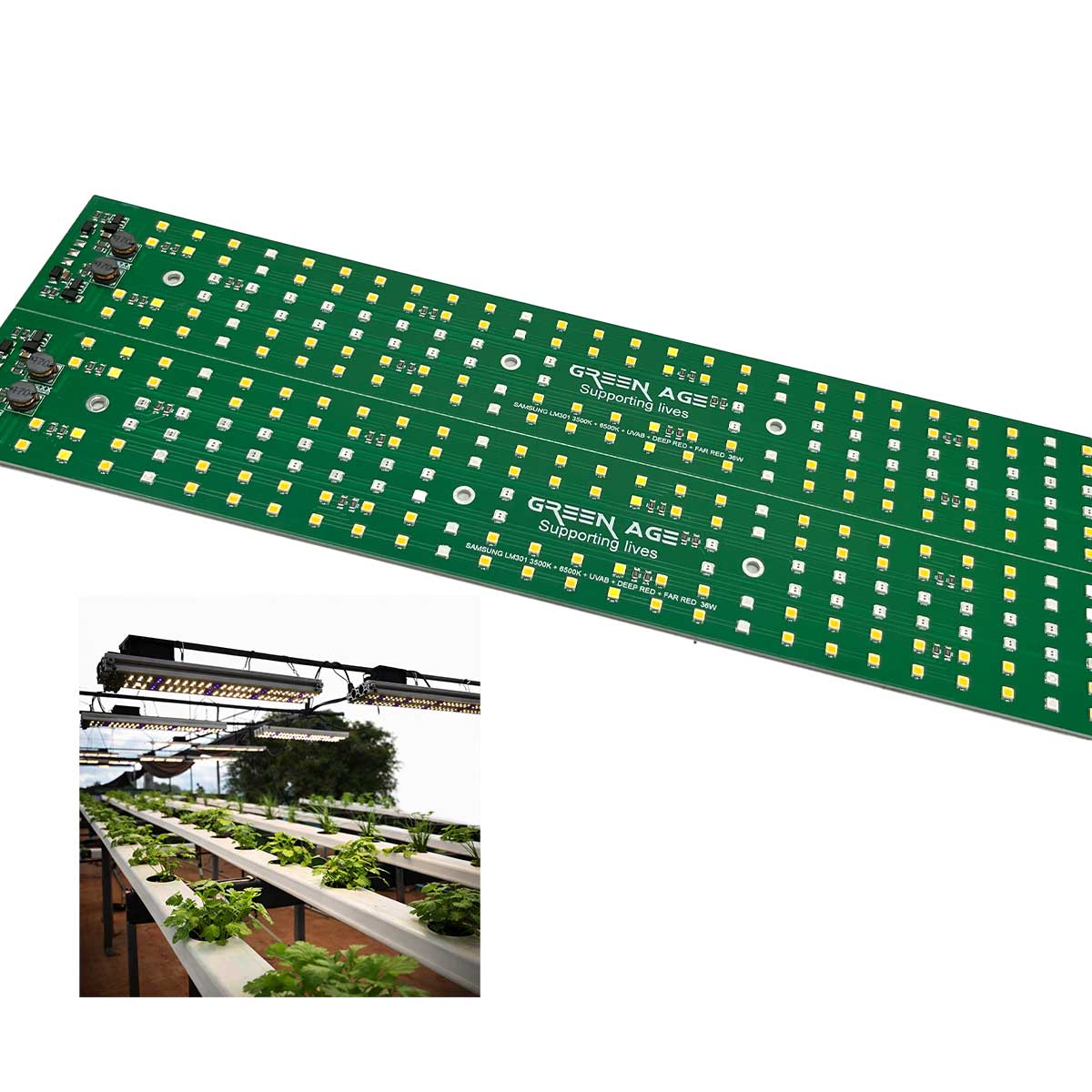 GreenAge para cultivo indoor